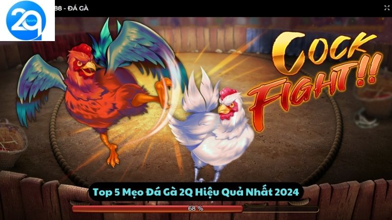 Top 5 Mẹo Đá Gà 2Q Hiệu Quả Nhất 2024