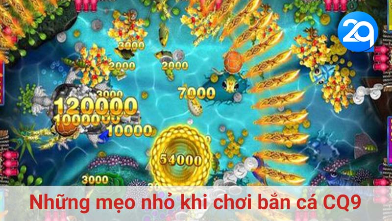 Những mẹo nhỏ khi chơi bắn cá CQ9