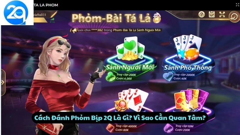 Cách Đánh Phỏm Bịp 2Q Là Gì? Vì Sao Cần Quan Tâm?