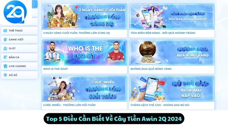 Top 5 Điều Cần Biết Về Cây Tiền Awin 2Q 2024